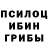 Псилоцибиновые грибы MAGIC MUSHROOMS Vaho Bisadze