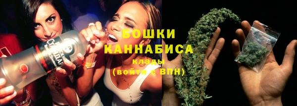 стафф Тында