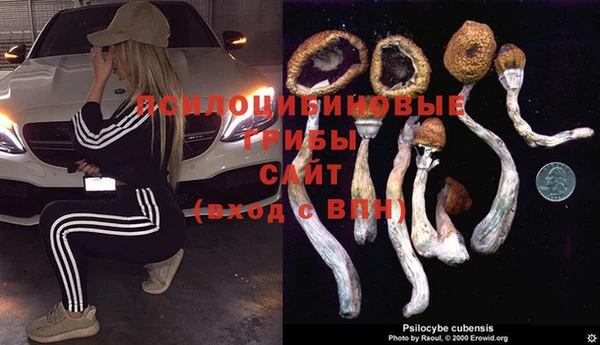 марки lsd Аркадак